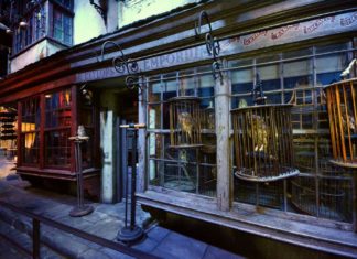 Harry Potter Studio Tour London: Tipps & Erfahrungsbericht!