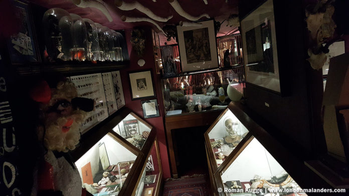 Kuriositätenkabinett London Viktor Wynd Museum