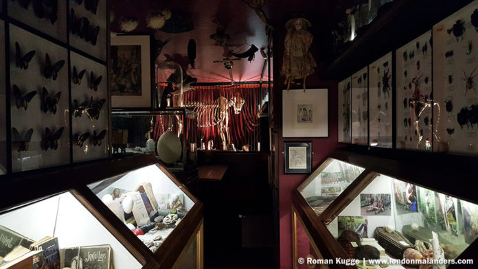 Kuriositätenkabinett London Viktor Wynd Museum