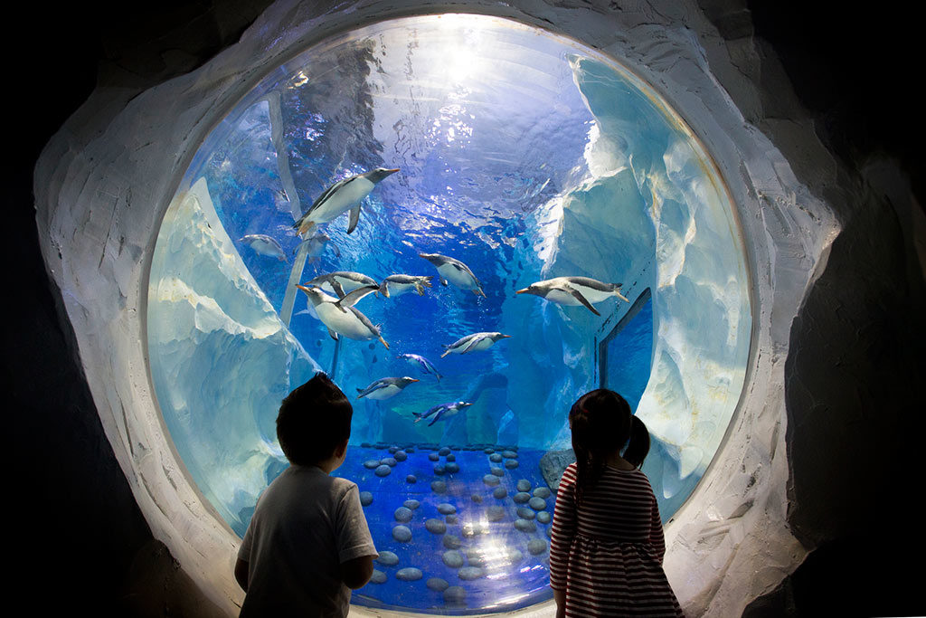 Sea Life Aquarium London