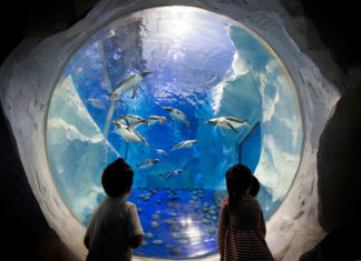 Die besten Attraktionen in London: Top 20 Sea Life Aquarium London
