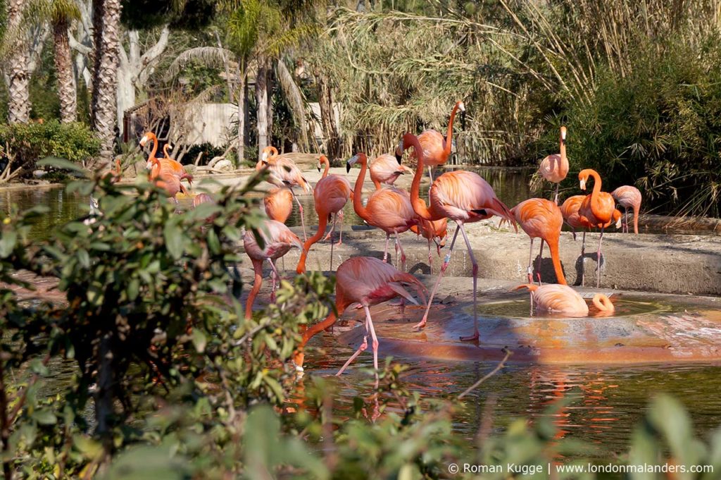 London Zoo