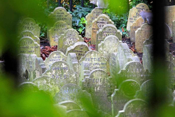 Tierfriedhof London Hyde Park