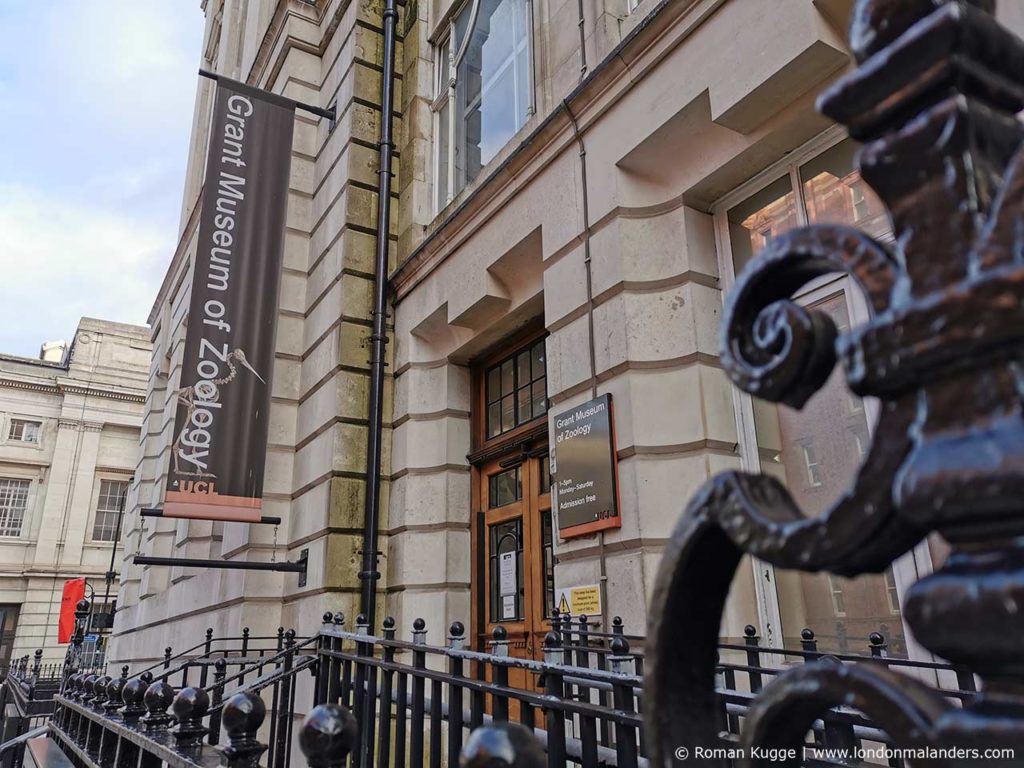 Grant Museum of Zoology London