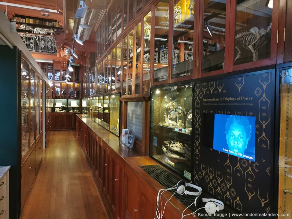 Grant Museum of Zoology London